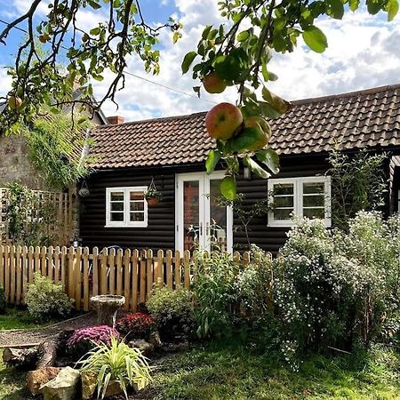 Cosy Studio Retreat In Wells, Somerset Bagian luar foto
